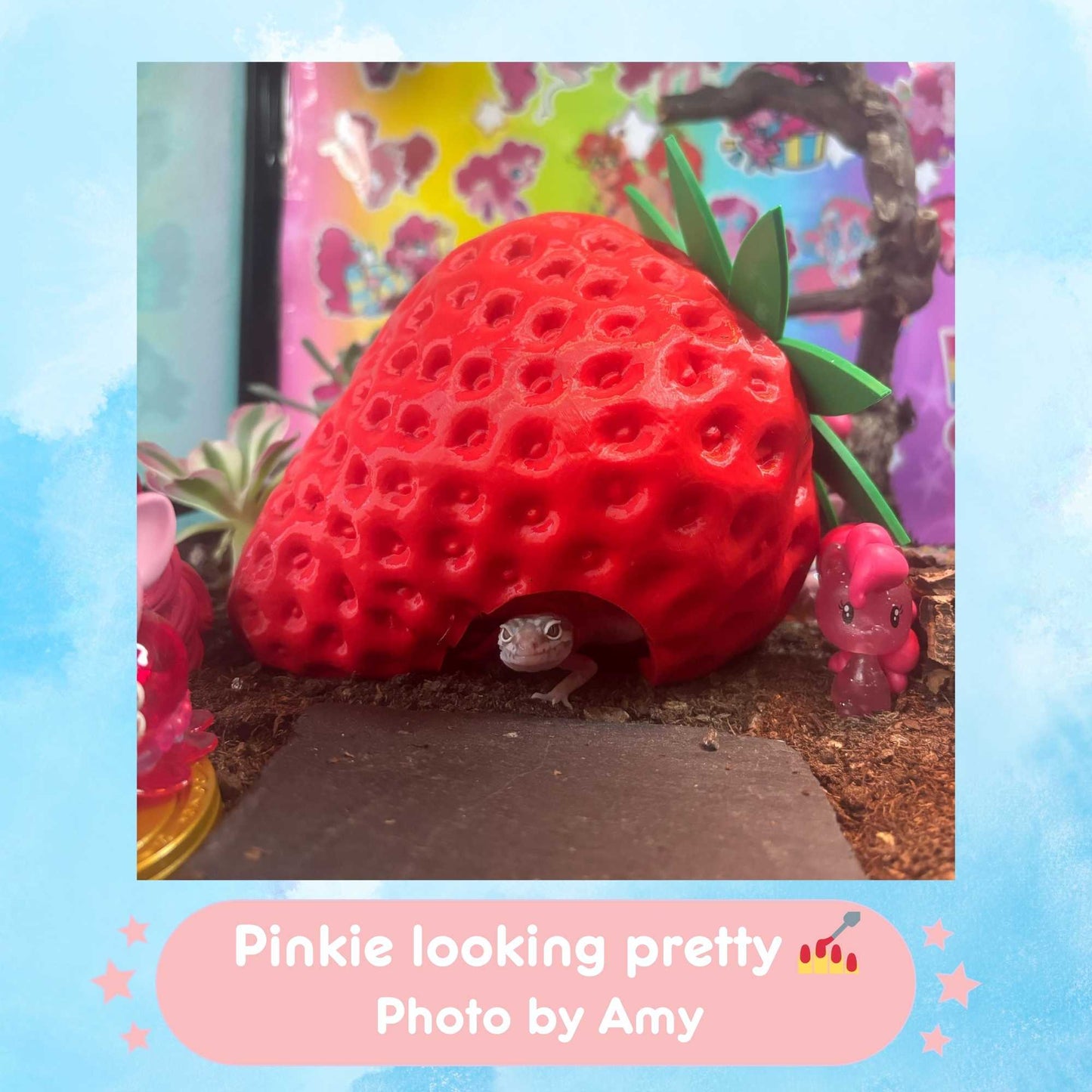 Strawberry Hide