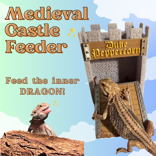 Medieval Castle Feeder for Reptiles