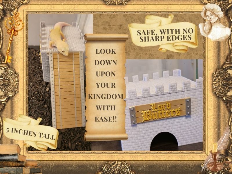 Medieval Castle Set