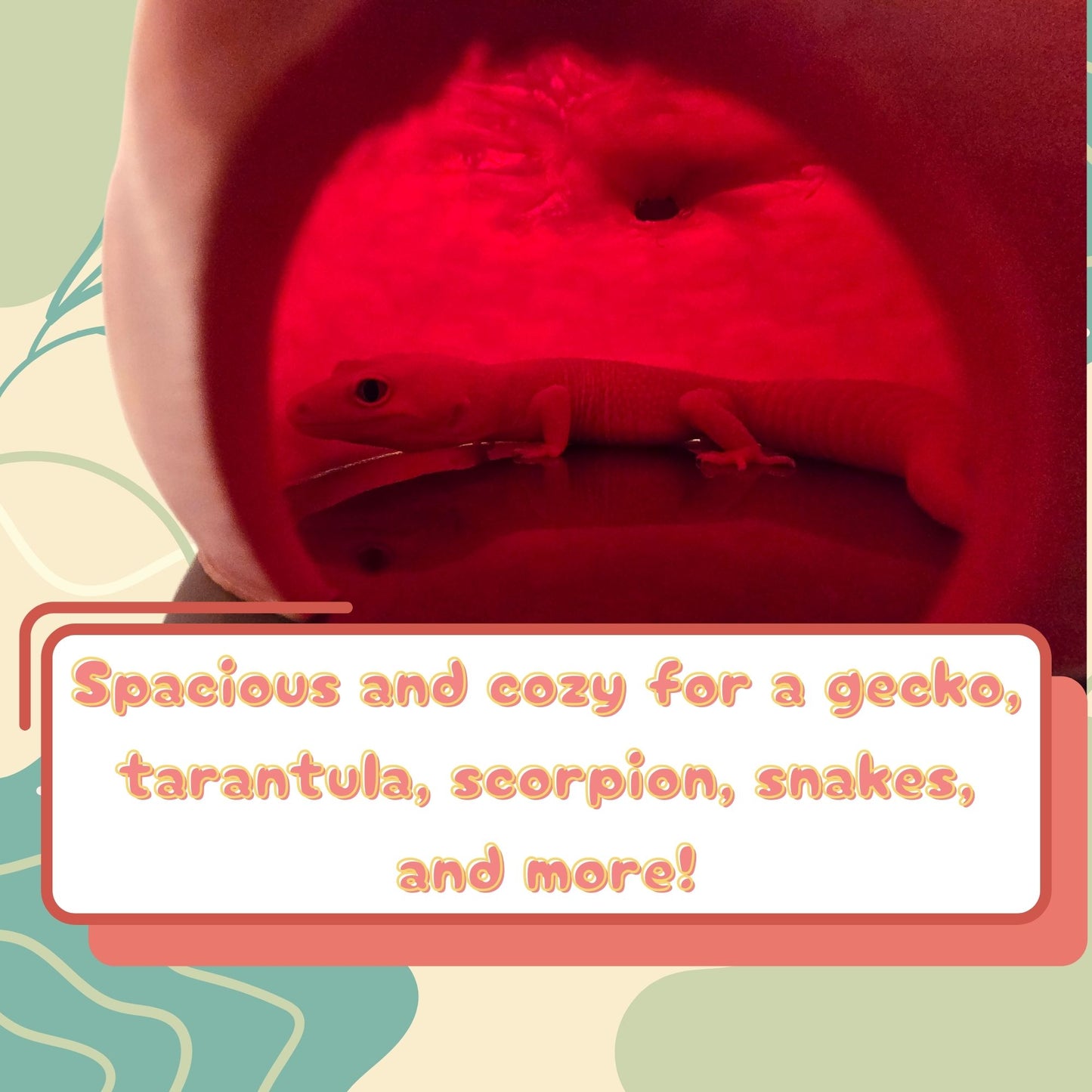 Tomato Hide