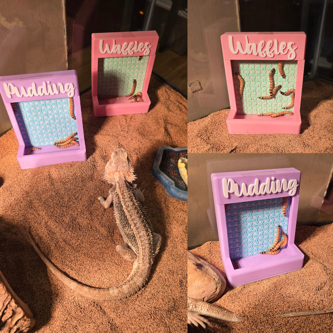 Pastel Feeder (Recessed)