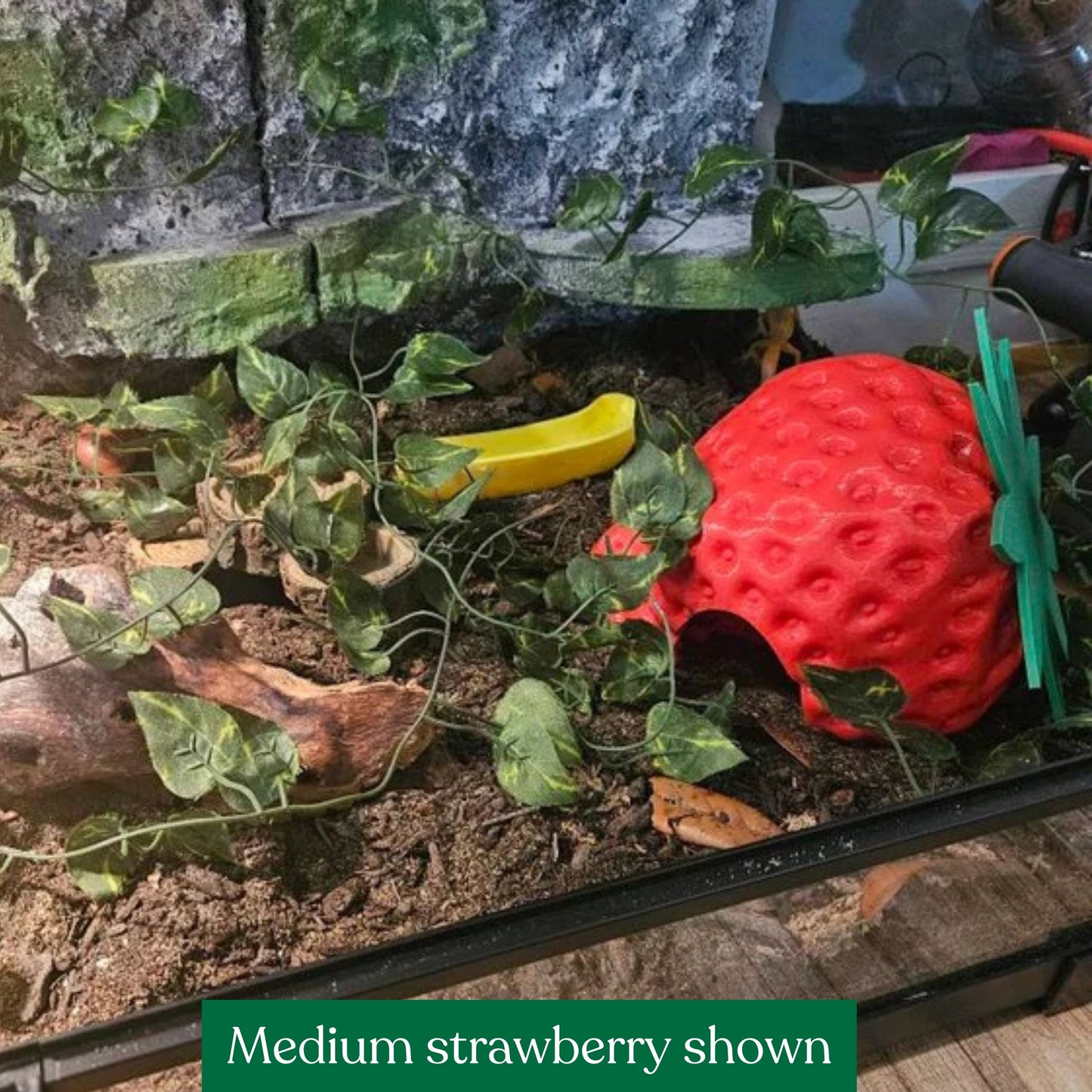 Strawberry Hide
