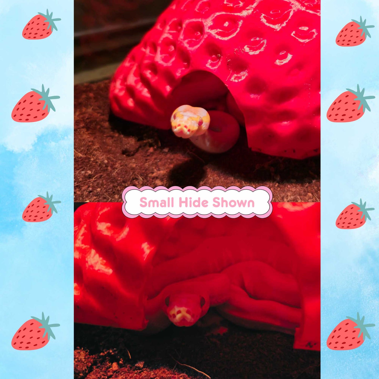 Strawberry Hide
