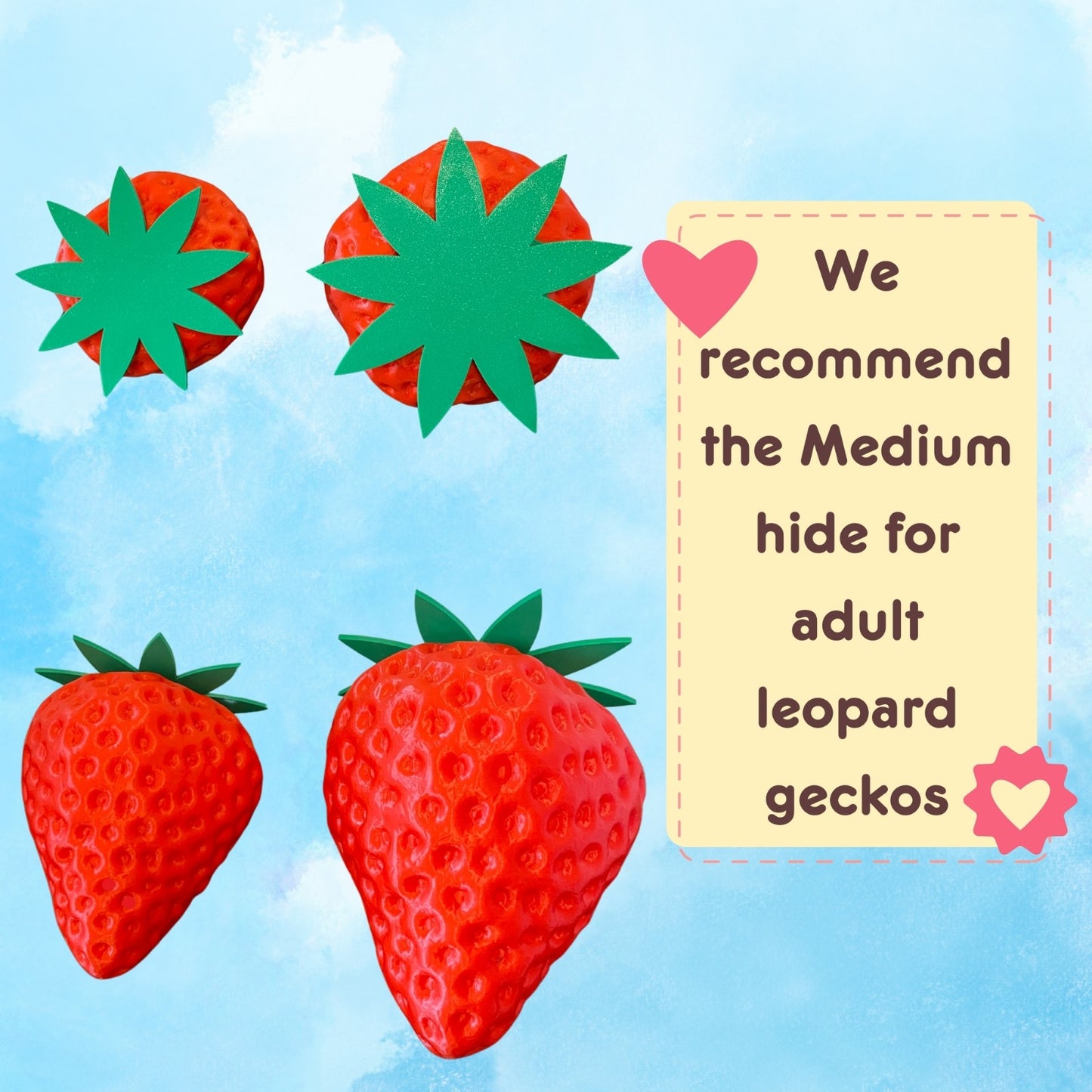 Strawberry Hide