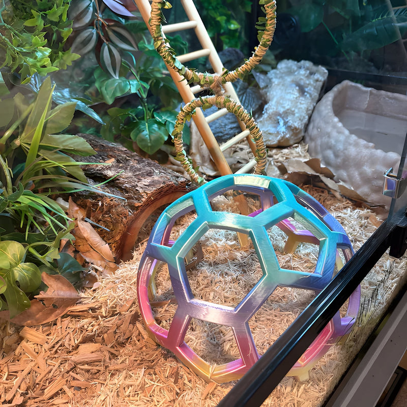 Bright and beautiful, but wouldn't survive in the wild