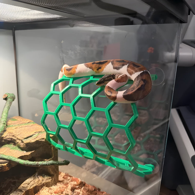 This is a tree, right?