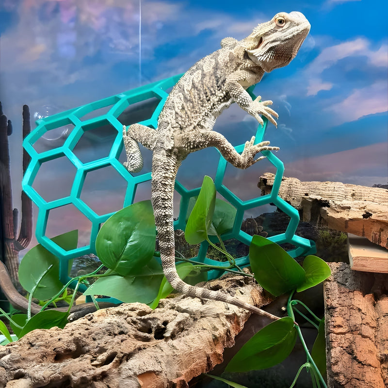 A scene out of a Wild West movie