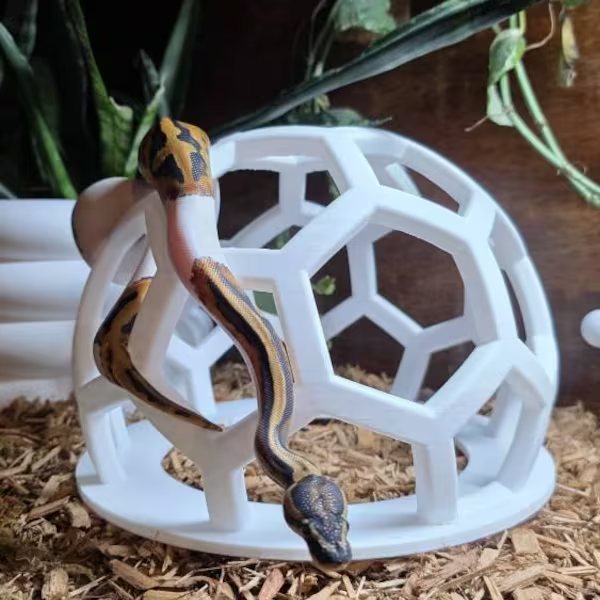 New York Times Best Seller