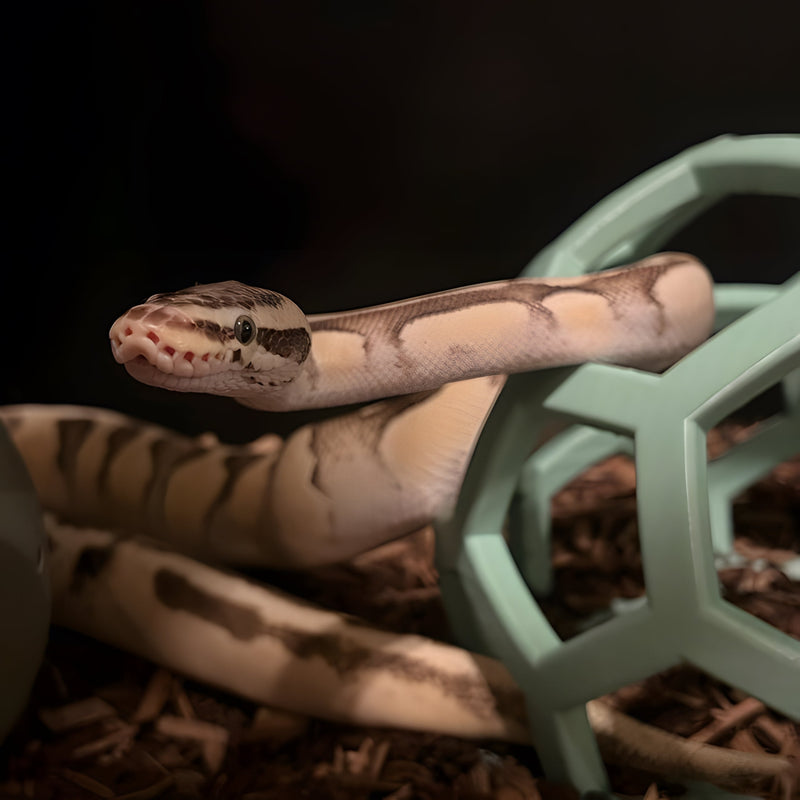 Very demure, very mindful