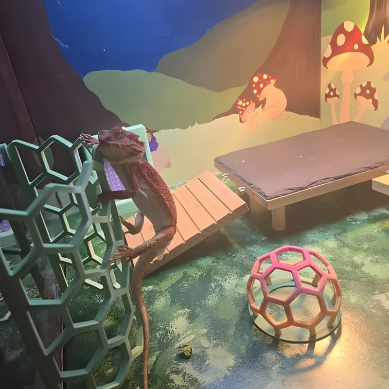 Oh, the places you'll go!