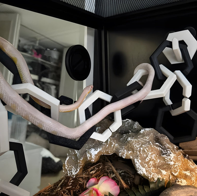 Ghostly Sighting Captured