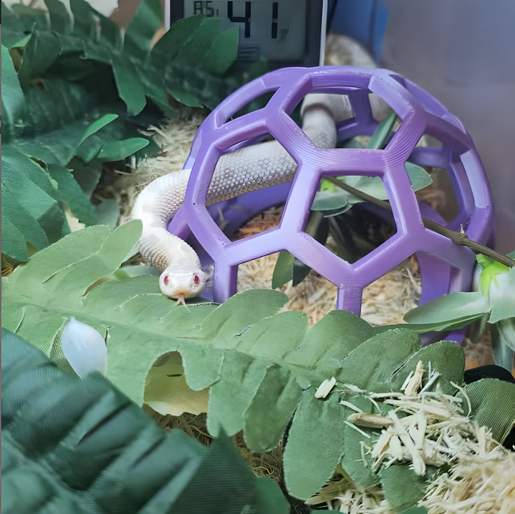"You can't see me"