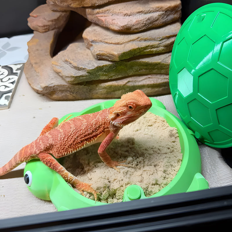 One Sandy Little Dude