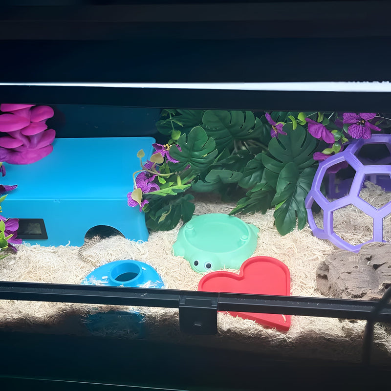 Their own little wonderland