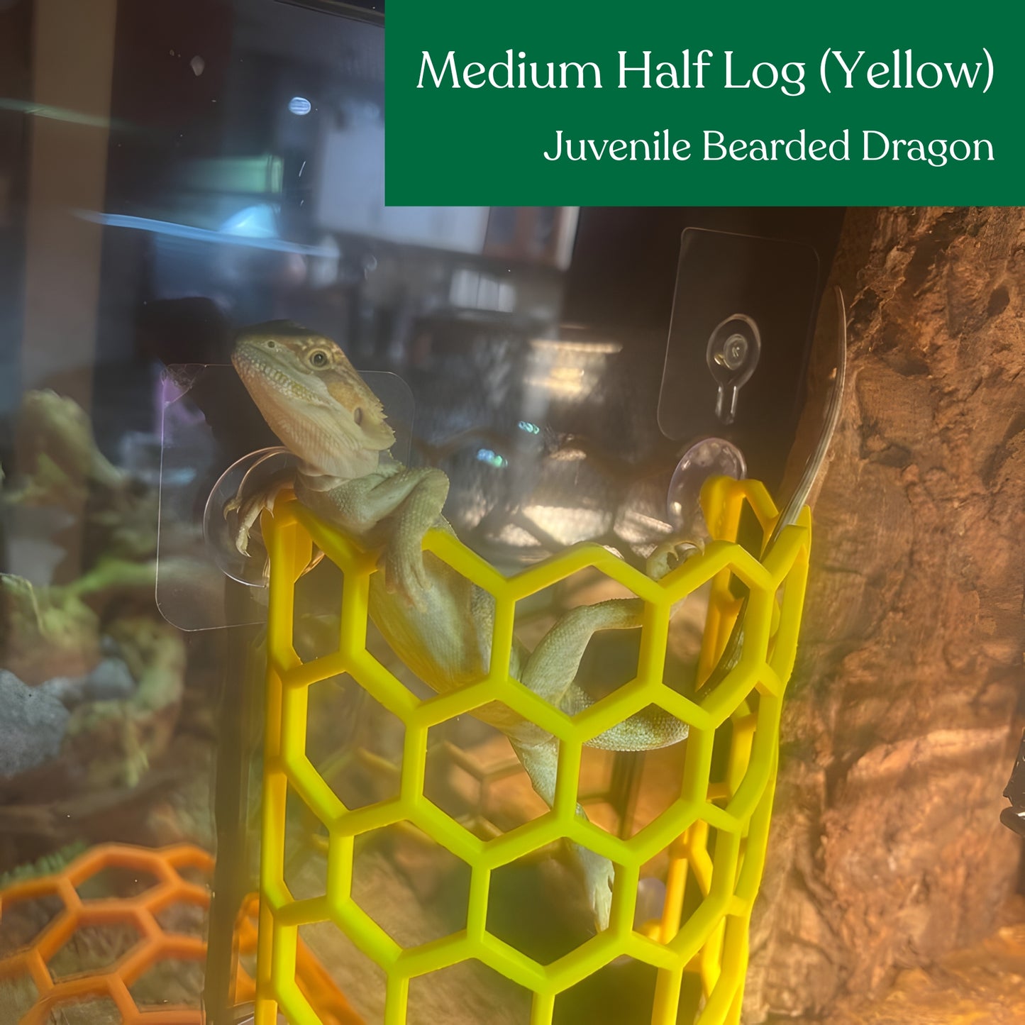 Half Hex Log