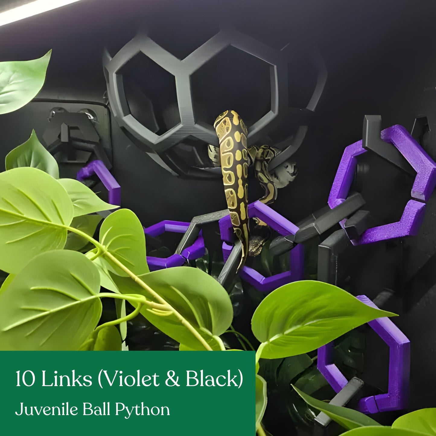 Hex Links
