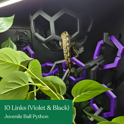 Hex Links