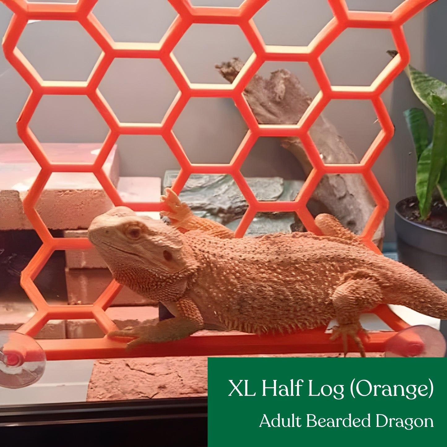 Half Hex Log