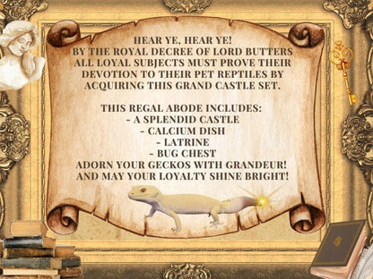 Medieval Castle Set