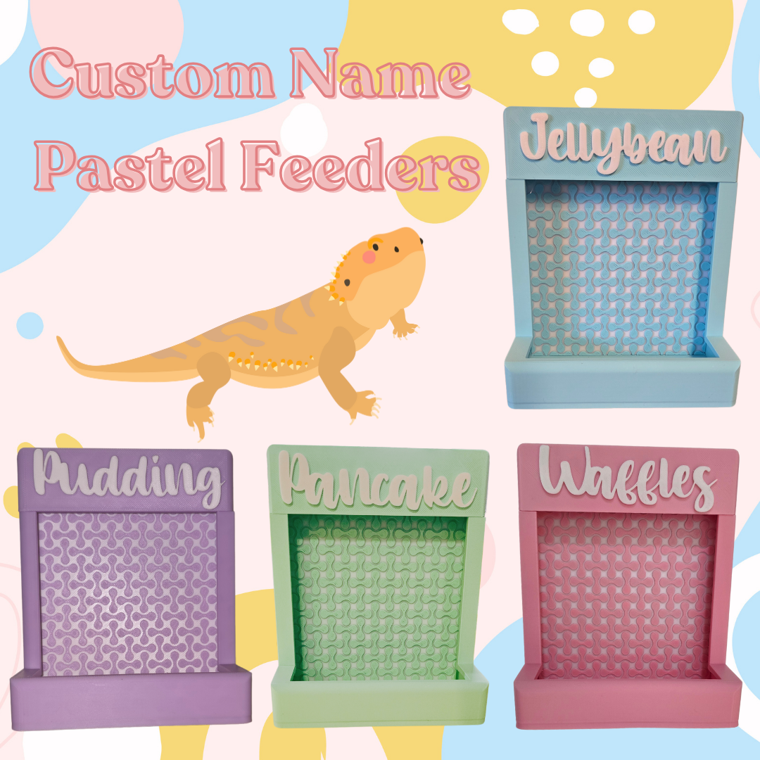 Pastel Feeder (Recessed)