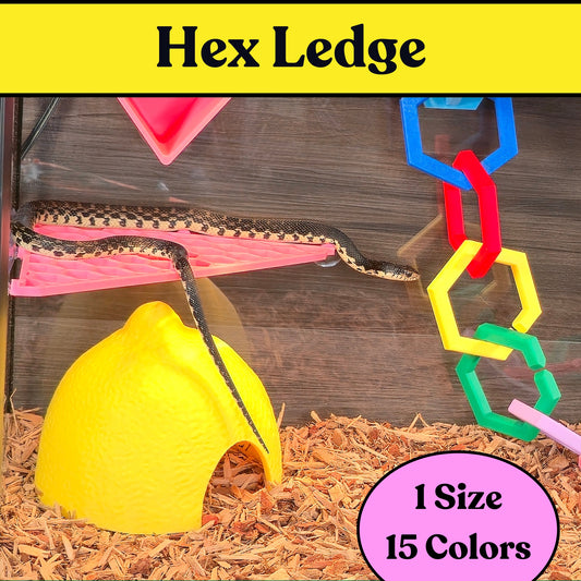 Hex Ledge – Corner Climbing Platform
