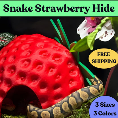 Strawberry Hide