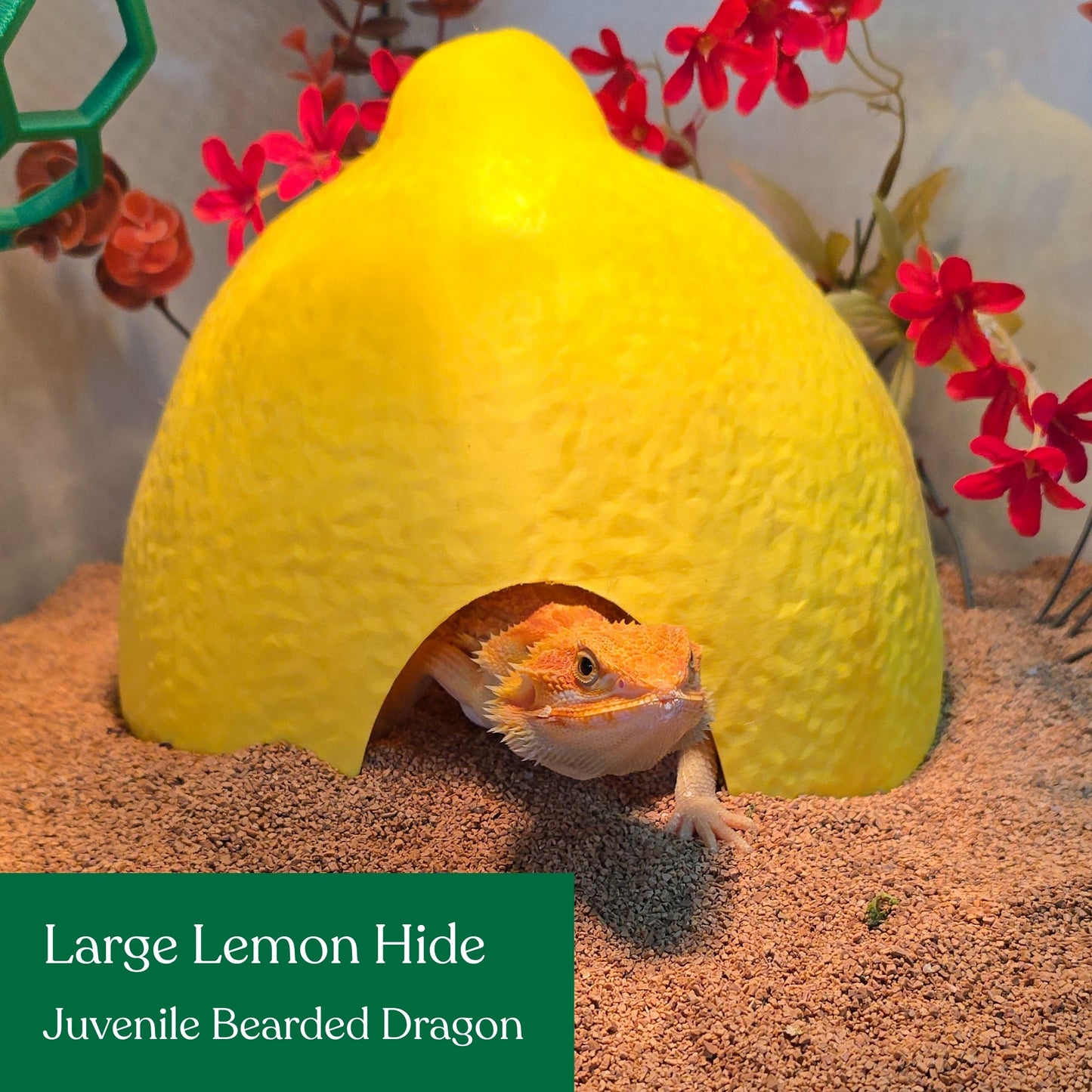 Lemon Hide