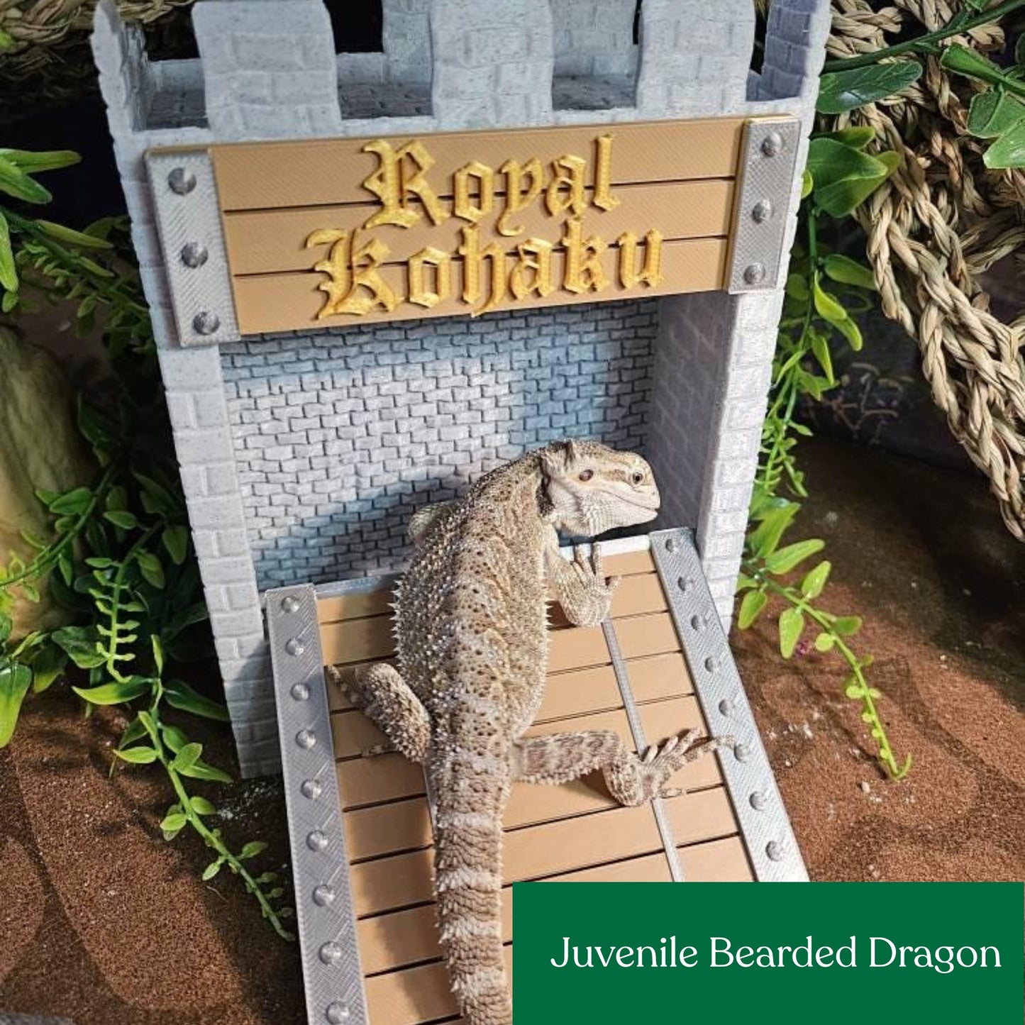 Castle feeder