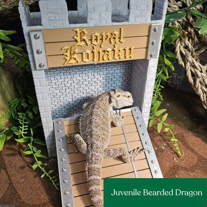 Castle feeder
