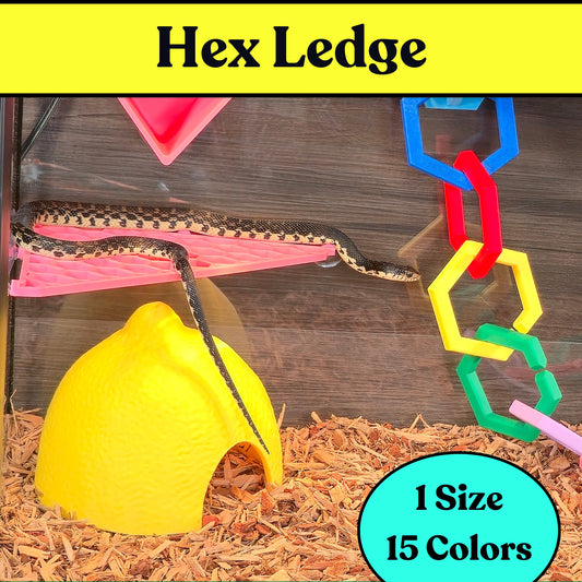 Hex Ledge – Corner Climbing Platform