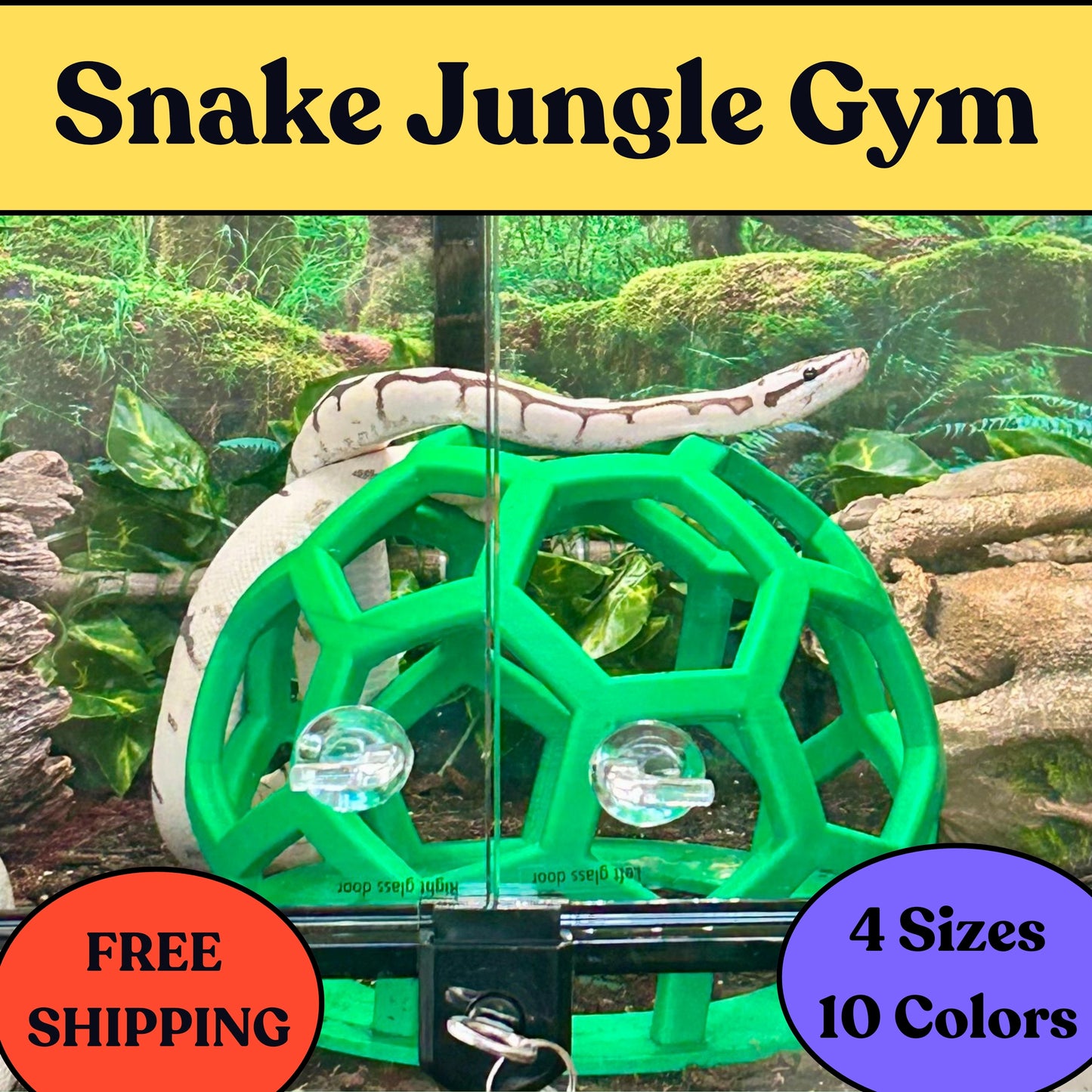 Snake Gym