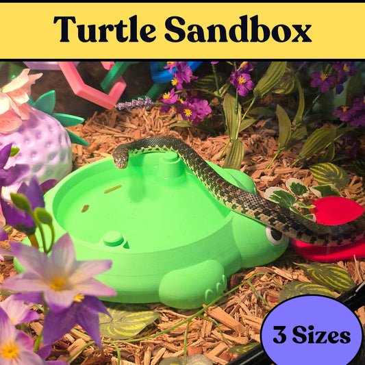 Turtle Sandbox