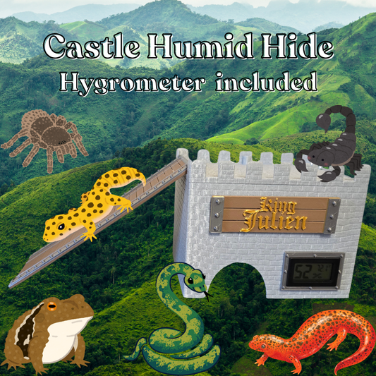 Castle Humid Hide