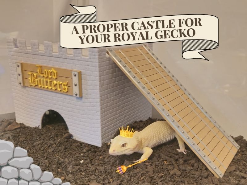 Medieval Castle Set
