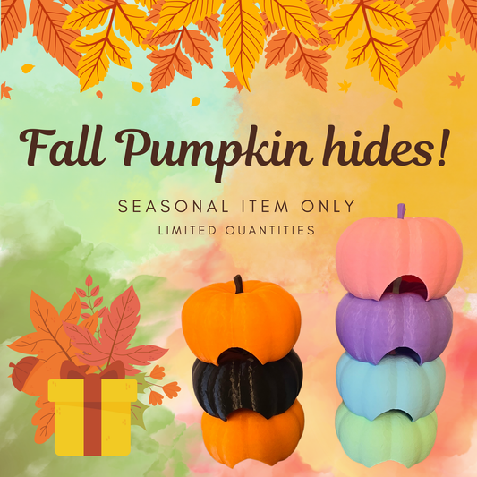 Pumpkin Hide