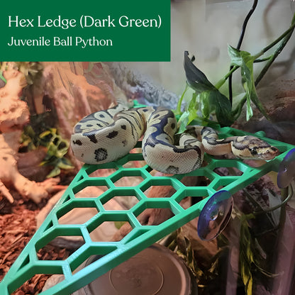Hex Ledge – Corner Climbing Platform