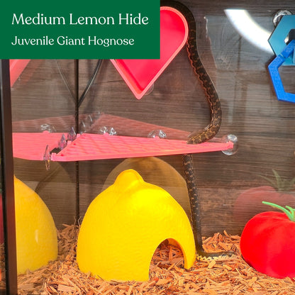 Lemon Hide