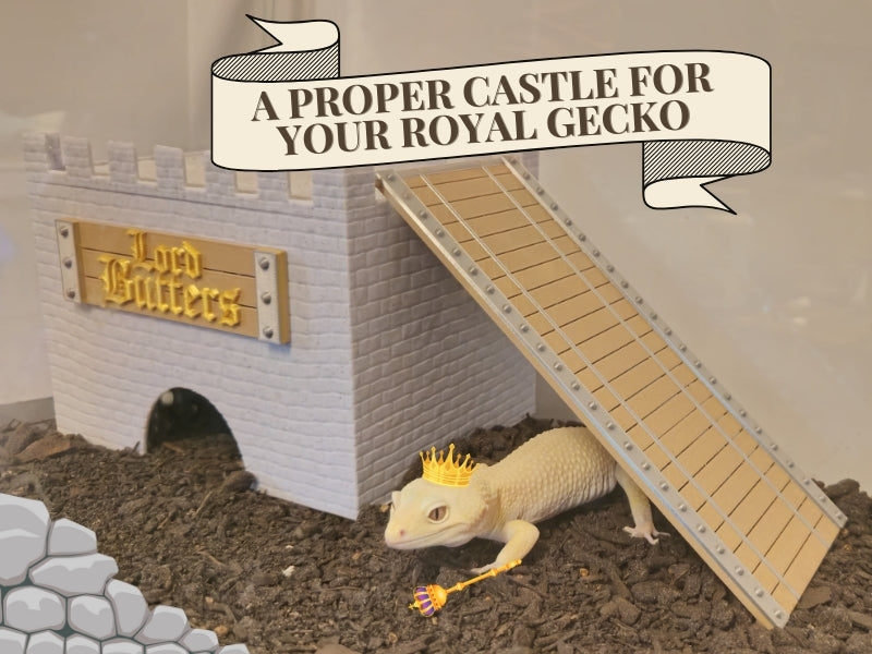 Custom Medieval Castle