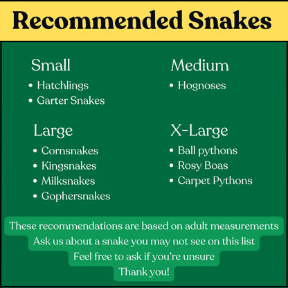 Snake Gym