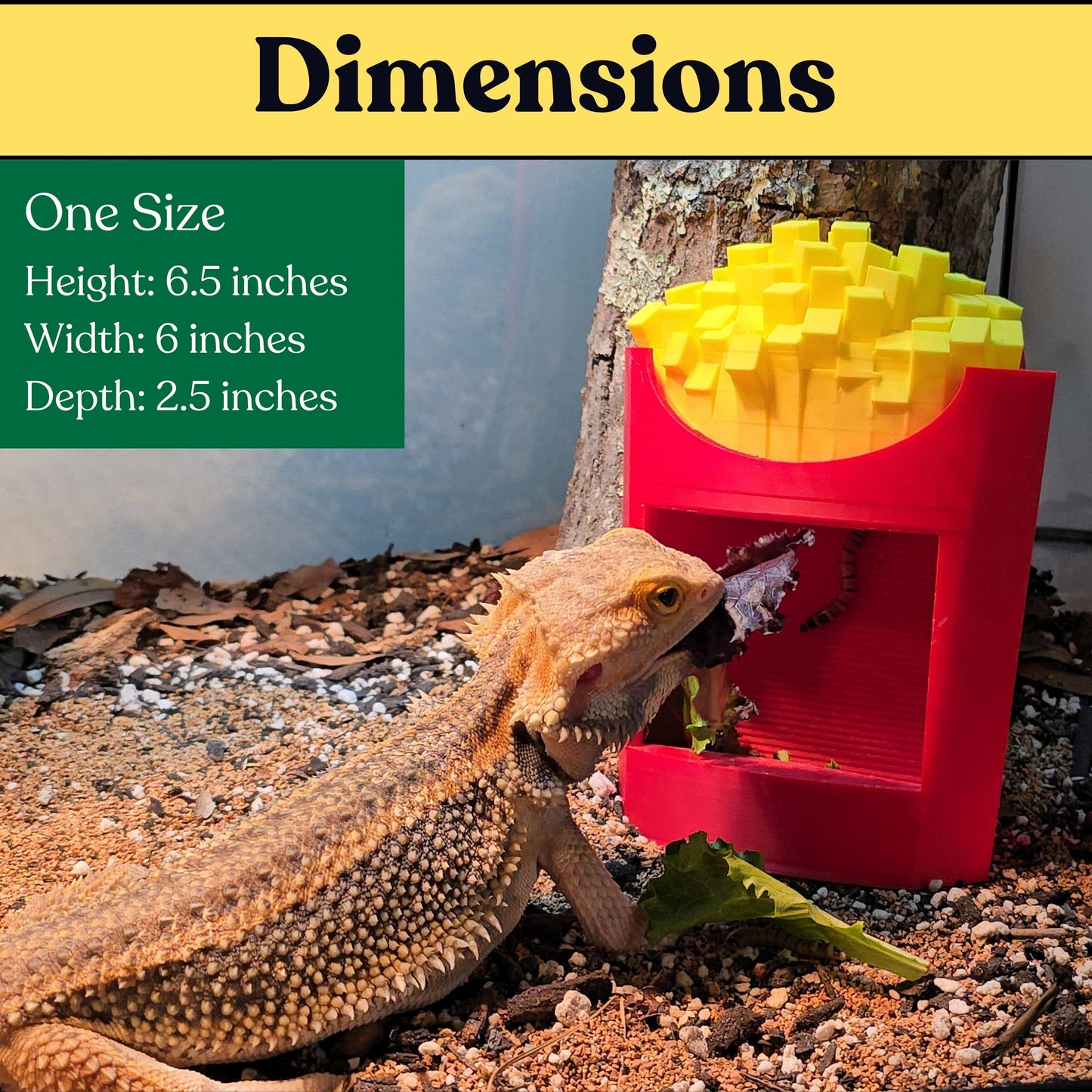 Fry Feeder & Calcium Duster!