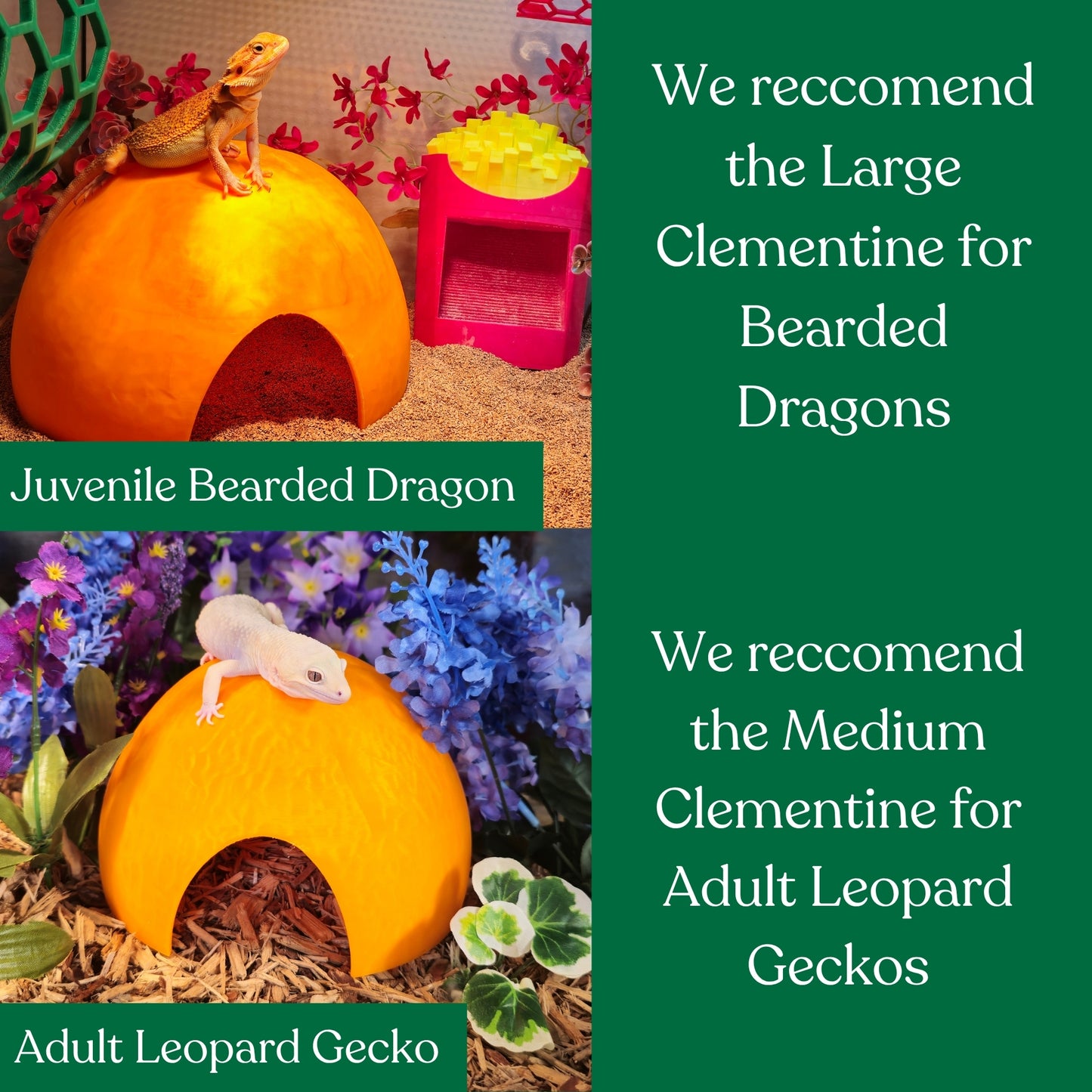 Clementine hide