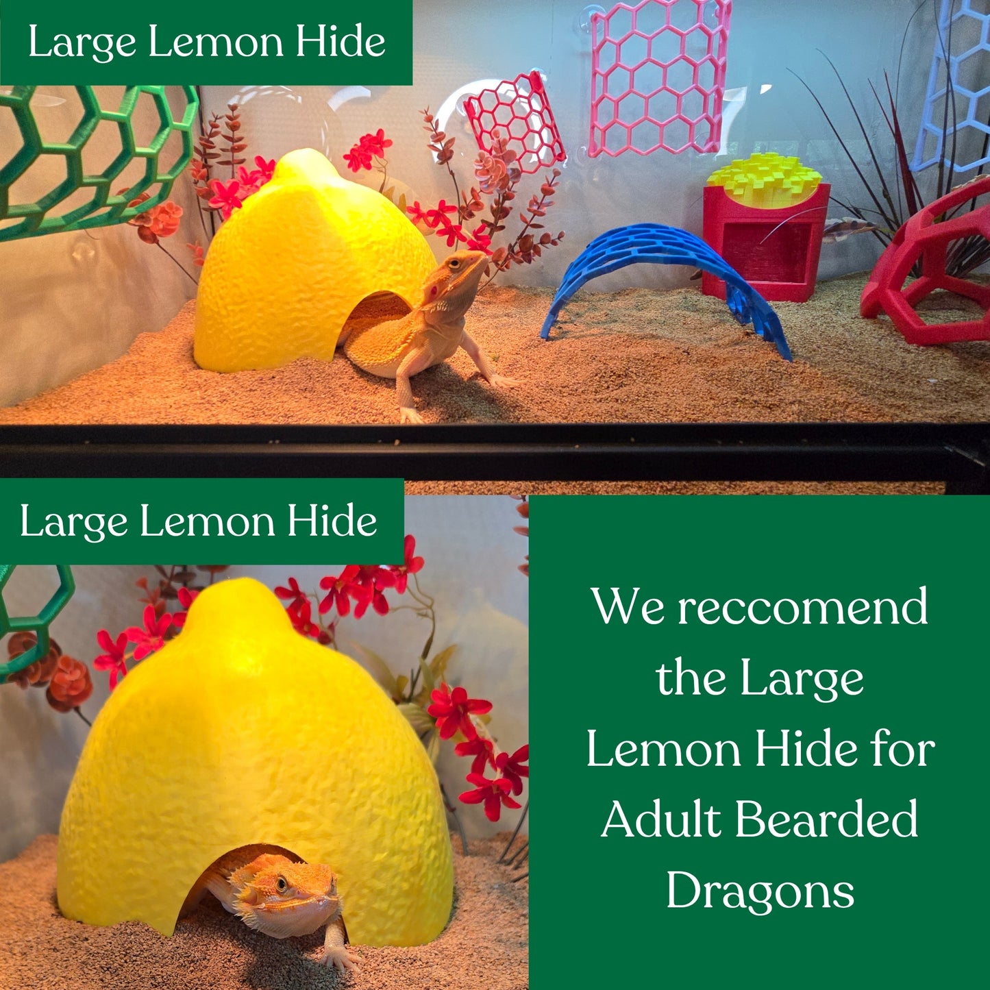 Lemon Hide