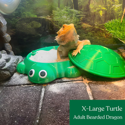 Turtle Sandbox