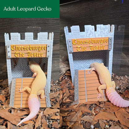 Castle feeder