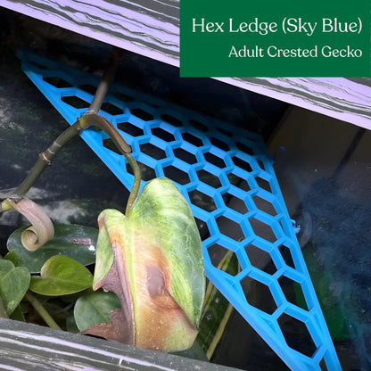 Hex Ledge – Corner Climbing Platform