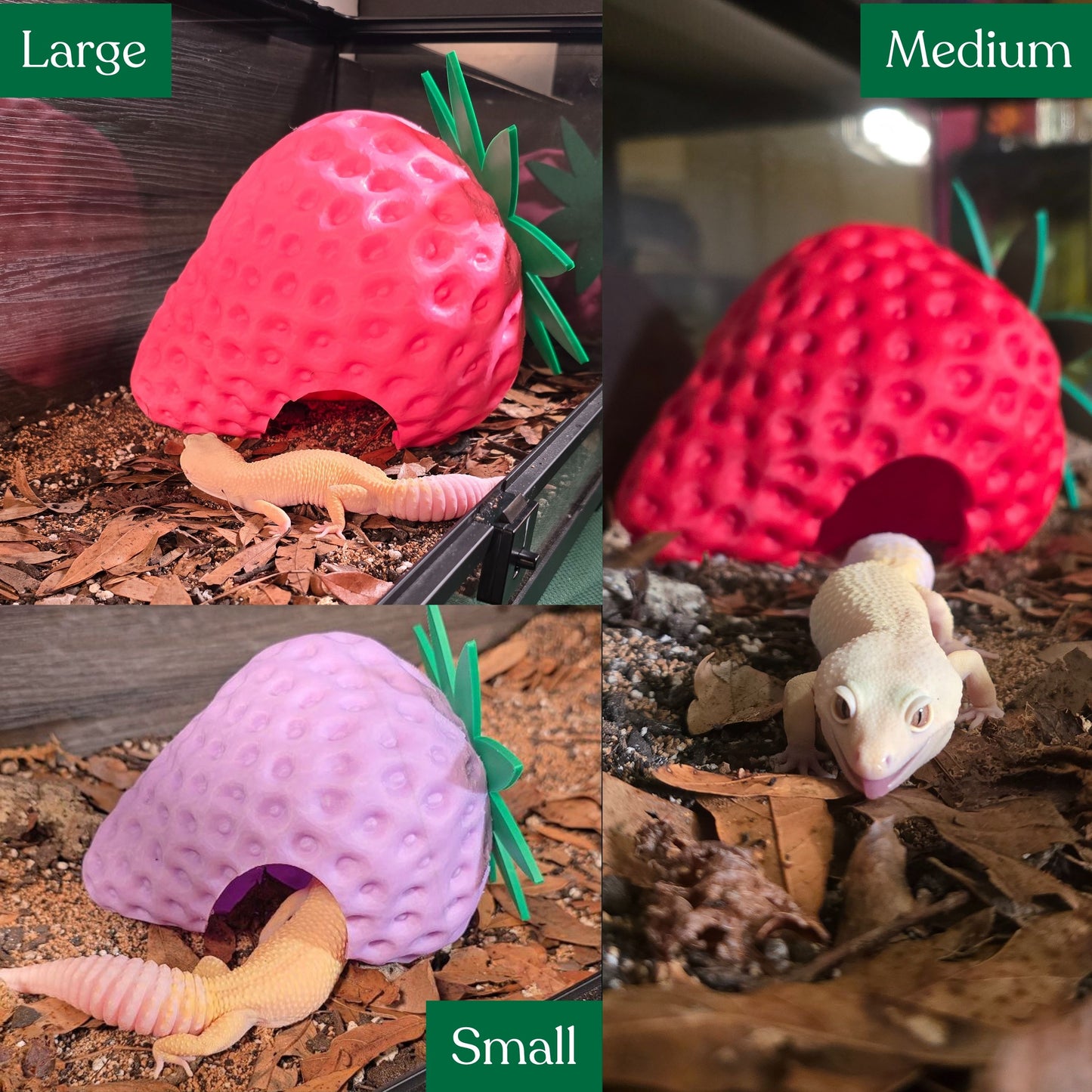 Strawberry Hide