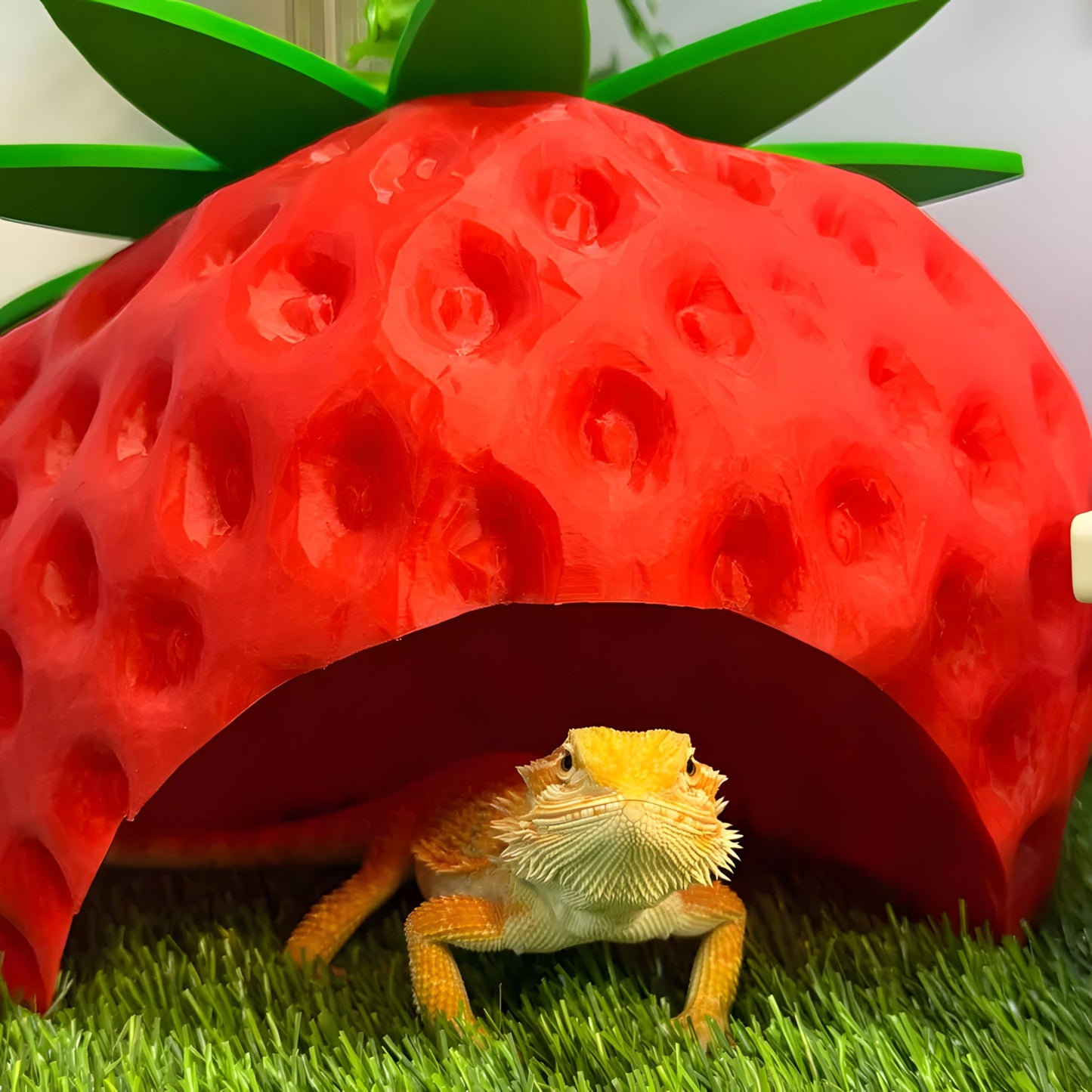 Strawberry Hut