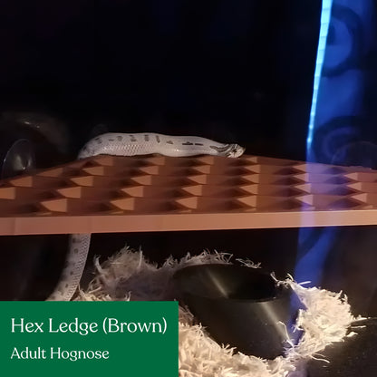 Hex Ledge – Corner Climbing Platform