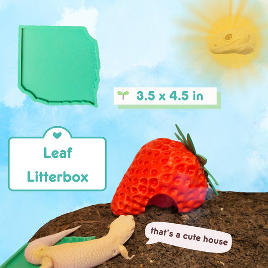 Leaf Litter Box
