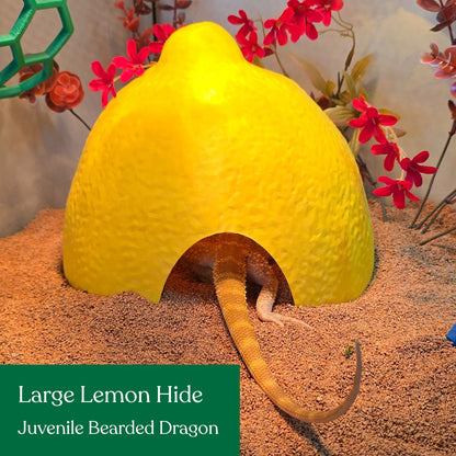 Lemon Hide